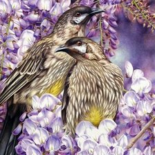 Схема вышивки «Птички»