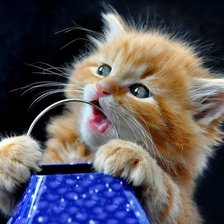 Схема вышивки «котёнок»