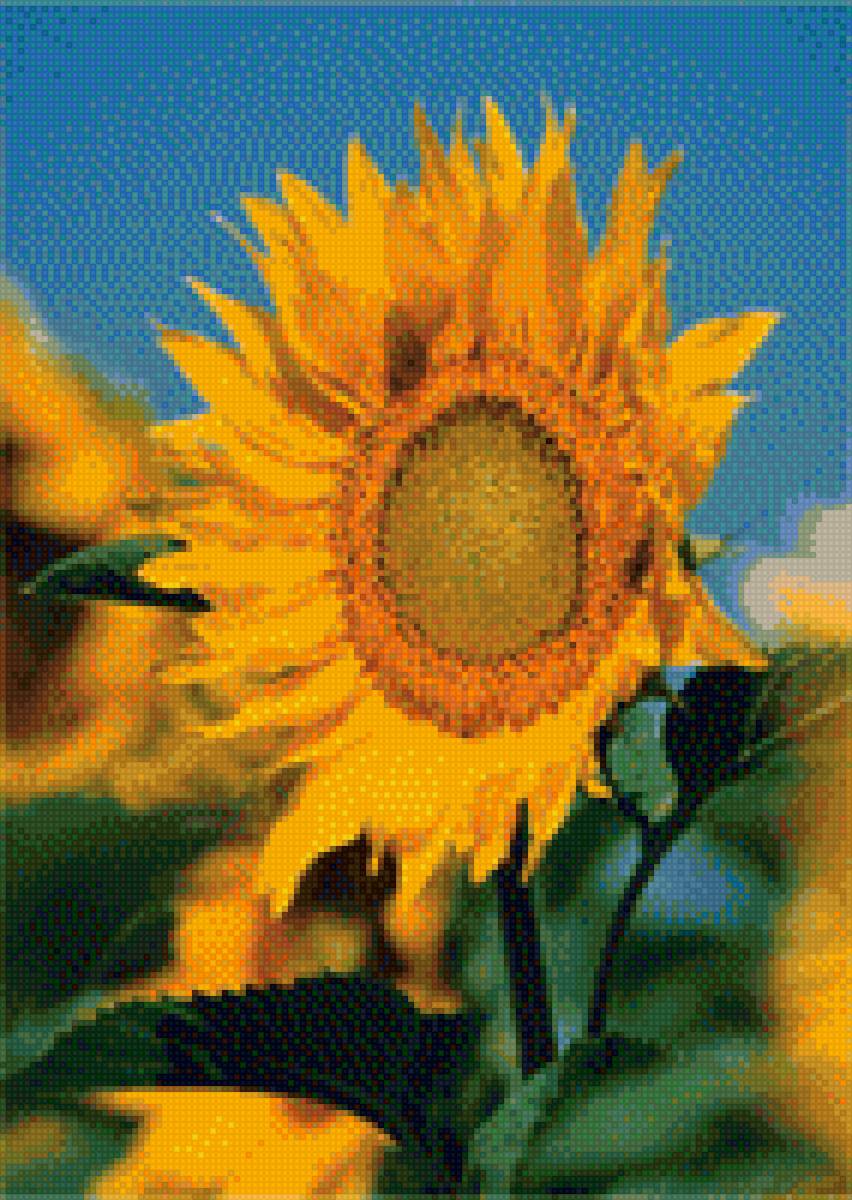 солнышко - поле, подсолнух, урожай - предпросмотр