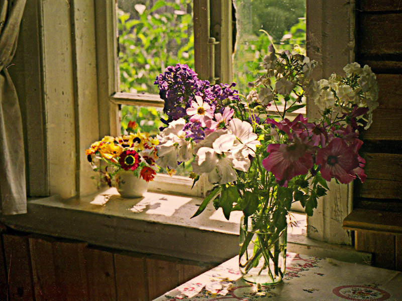 Букет - букет, букет на окне - оригинал