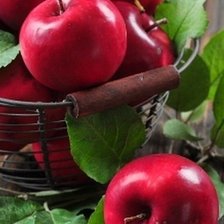 Схема вышивки «Яблоки»