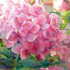 Схема вышивки «№1684390»