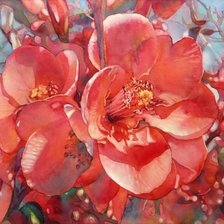 Схема вышивки «№1684391»