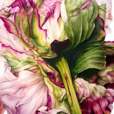 Схема вышивки «№1684395»