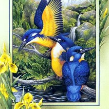 Схема вышивки «vtáci»