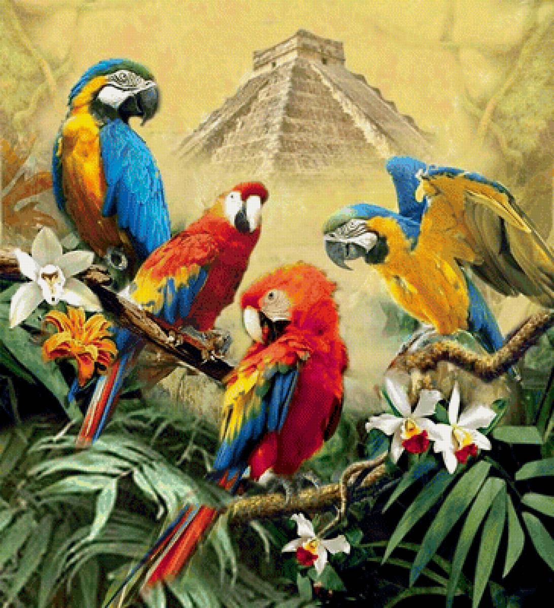 Мир животных - предпросмотр