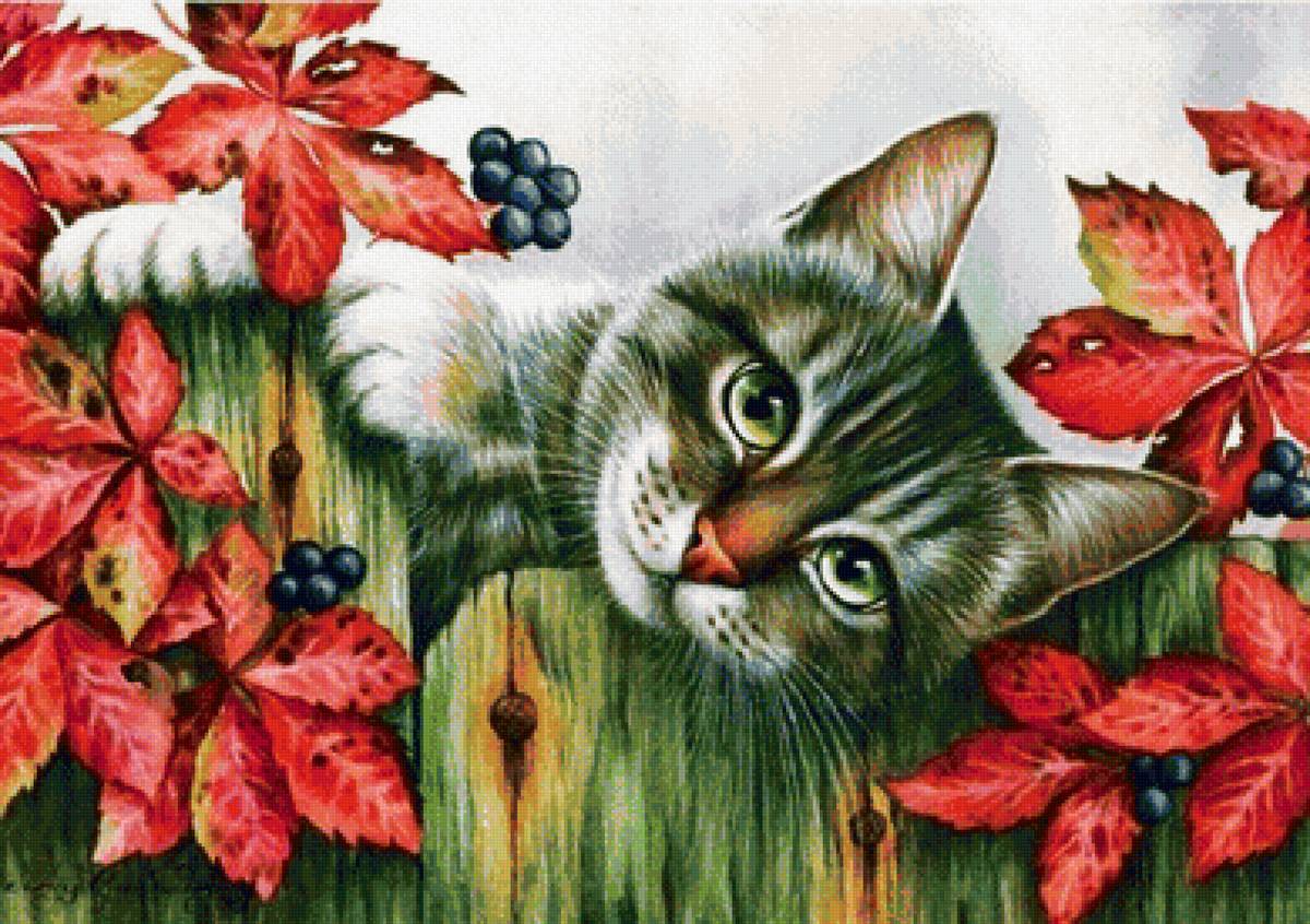 milá mačka - предпросмотр