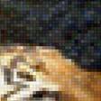 Предпросмотр схемы вышивки «Тигры» (№1684848)