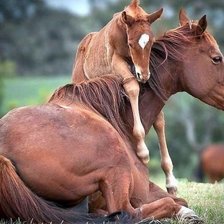 Схема вышивки «№1685082»