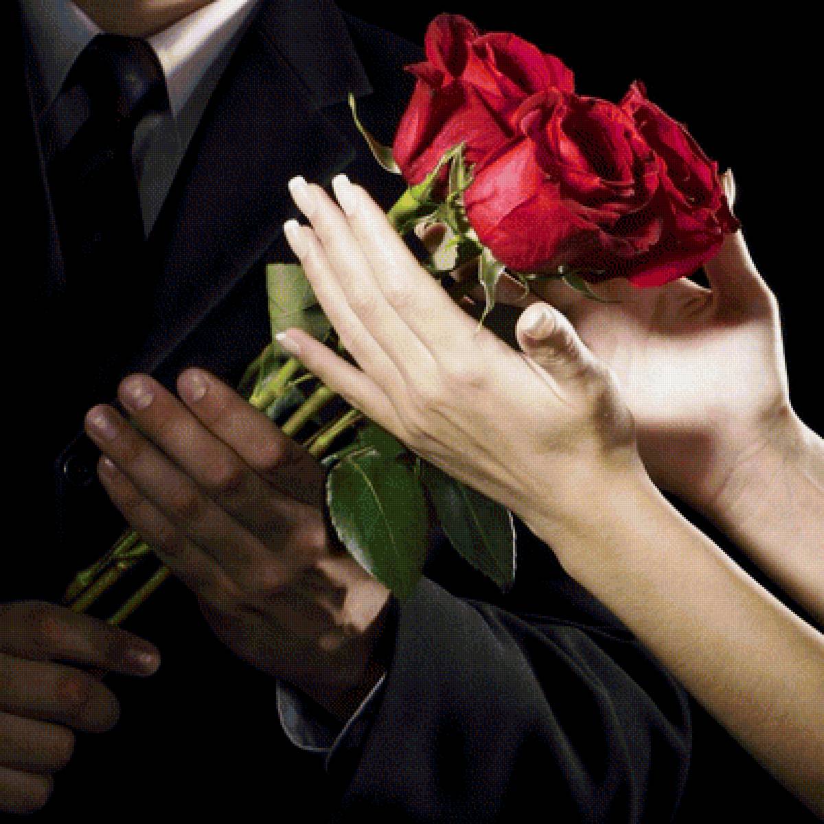 красные  розы - люди. цветы - предпросмотр