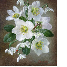 Схема вышивки «№1685750»