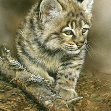 Схема вышивки «№1685909»