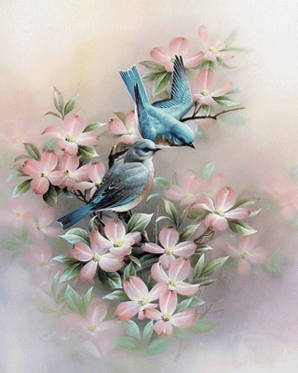 №1685940 - птицы - предпросмотр