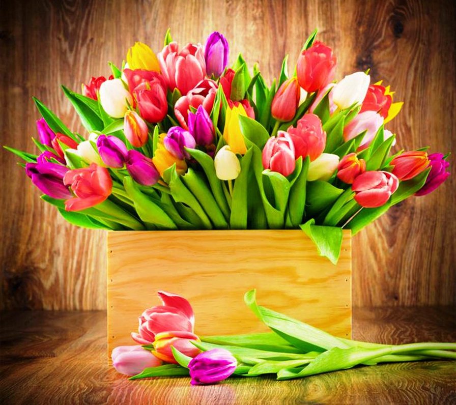 тюльпаны 2 - цветы - оригинал