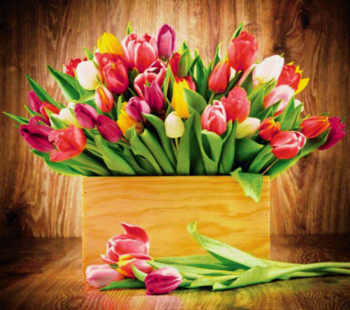 тюльпаны 2 - цветы - предпросмотр