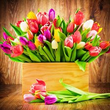 Схема вышивки «тюльпаны 2»