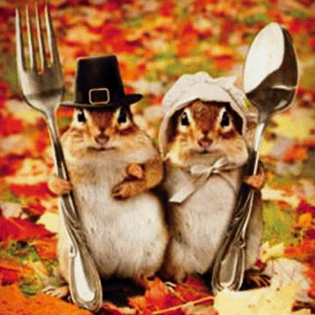 забавные животные - предпросмотр