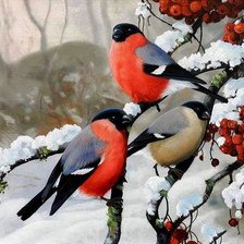 Схема вышивки «снегири 2»