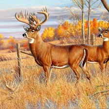 олени осенью