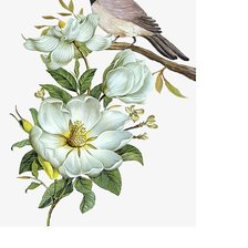 Схема вышивки «№1686663»