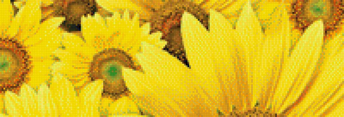 подсолнухи - предпросмотр