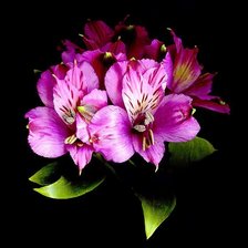 Схема вышивки «цветы на черном фоне»