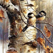 воробьи на березе