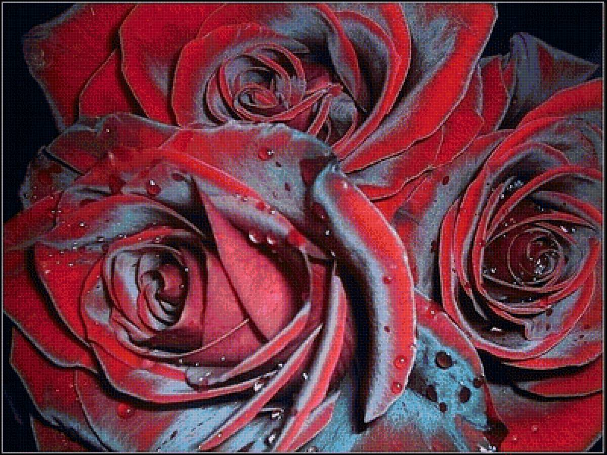 розы - предпросмотр