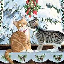 кошачий поцелуй