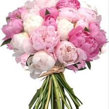 Схема вышивки «пионы 2»