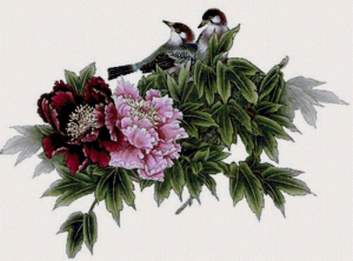 Райские птицы - вышивка крестом, птицы - предпросмотр