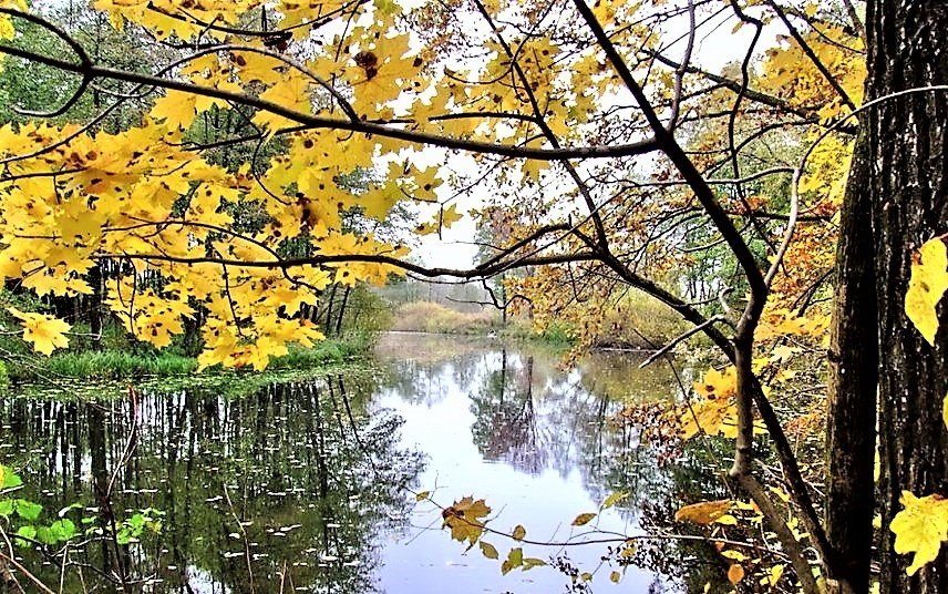 Осень - фото, пейзаж - оригинал