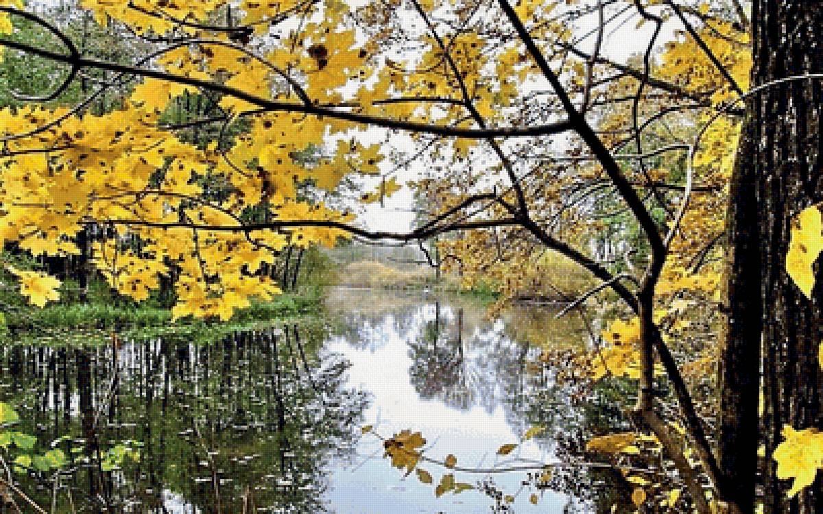 Осень - пейзаж, фото - предпросмотр