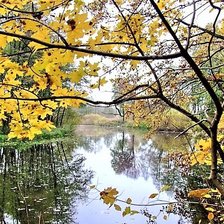 Схема вышивки «Осень»