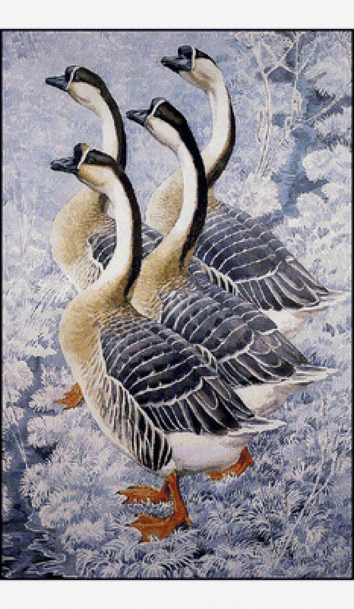 Гуси зимой - предпросмотр