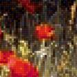 Предпросмотр схемы вышивки «маки» (№1688909)