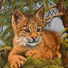 Схема вышивки «№1689062»