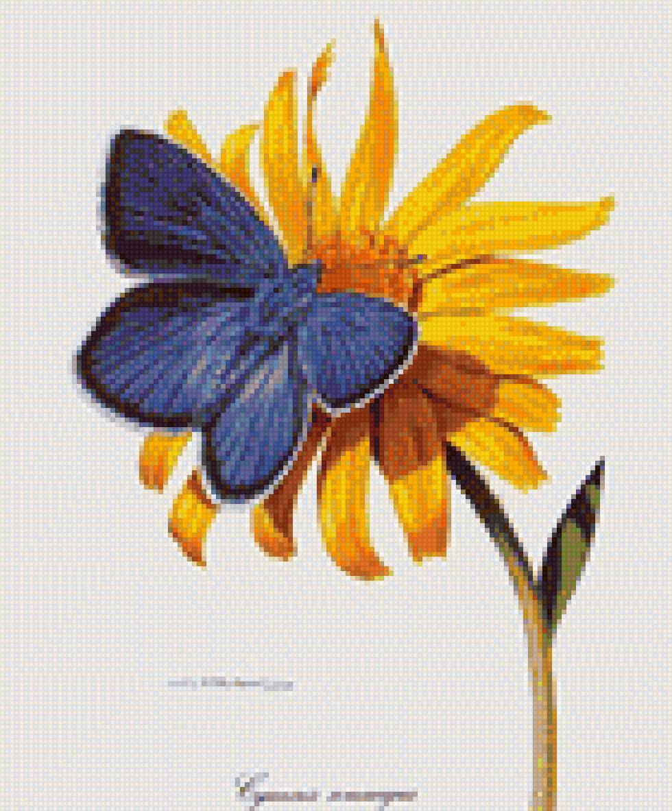 Бабочка 2 - цветок, бабочка - предпросмотр