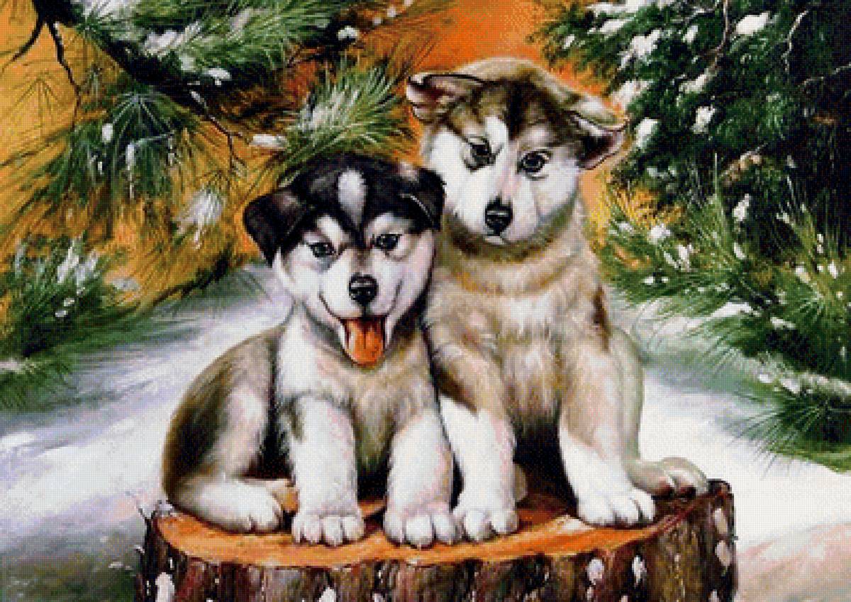 щенки - животные - предпросмотр