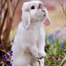 Схема вышивки «№1689280»