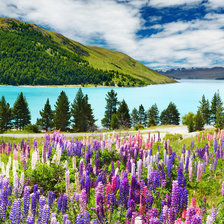 Схема вышивки «Алтай»