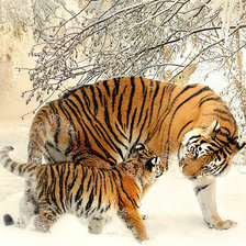 Схема вышивки «№1689653»