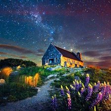 Схема вышивки «красота»