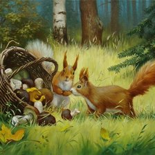 белочки в лесу