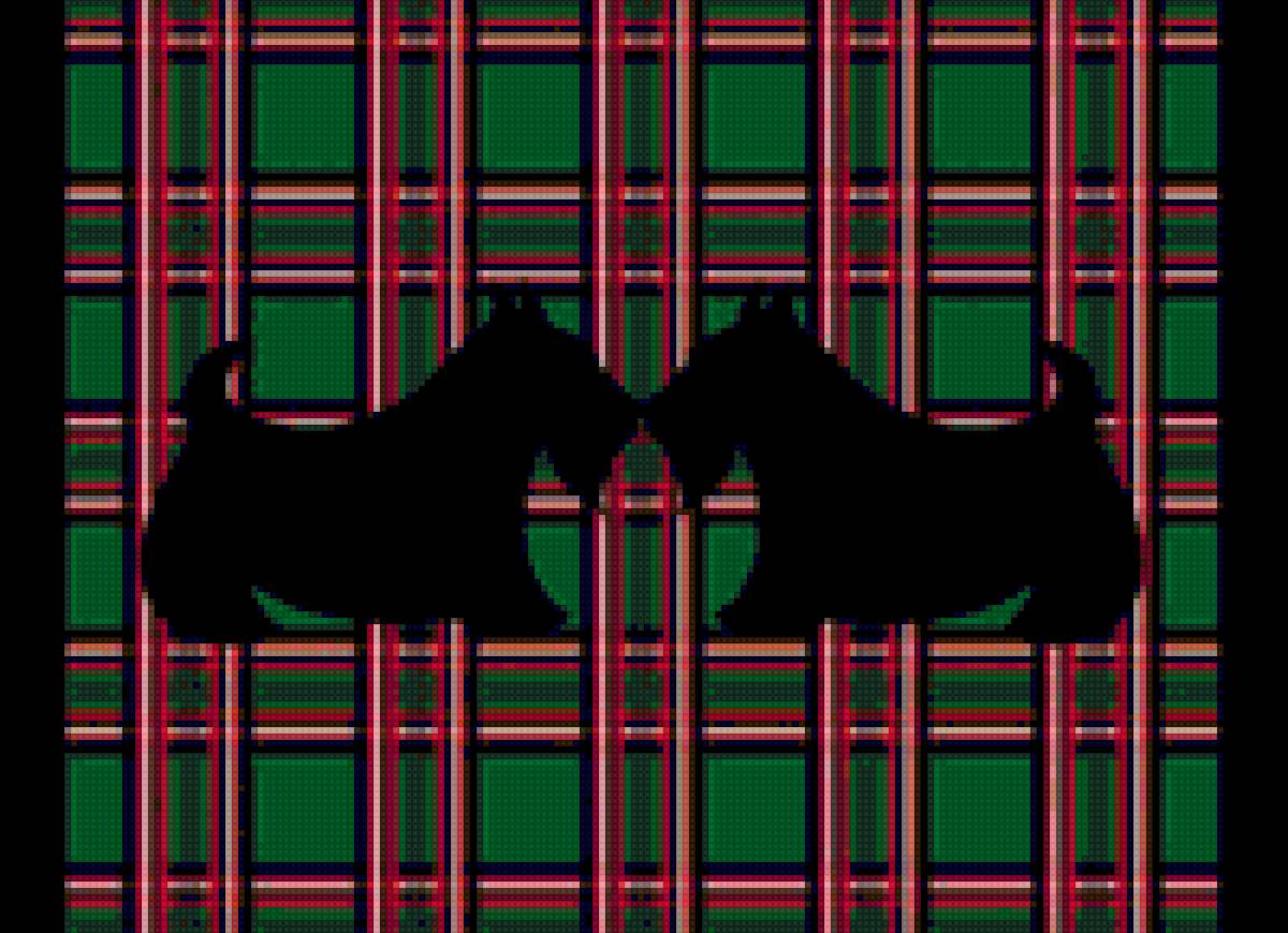 Скотч-терьеры - собаки, скотч-терьер - предпросмотр