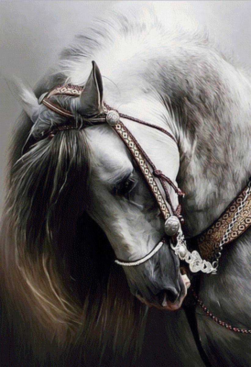 белый конь - животные - предпросмотр