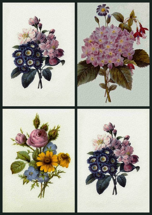 цветочный коллаж 11 - цветы - оригинал