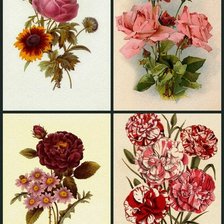 цветочный коллаж 14