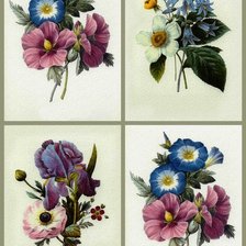 Схема вышивки «цветочный коллаж 15»