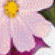 Предпросмотр схемы вышивки «Космея» (№1691668)